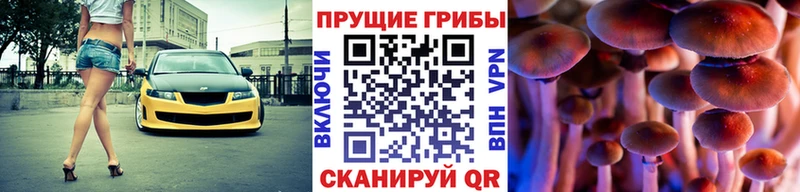 MEGA   Юрьев-Польский  Псилоцибиновые грибы прущие грибы 